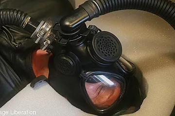 Elise Graves And Strange Hobbies - When Elise Met - porn video