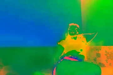 Superb Ebony Babe Showing Huge Love For Her Sugardaddy - porn video