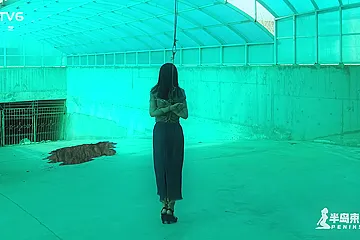 Chinese Bondage - Bondage Shelter P2 - porn video