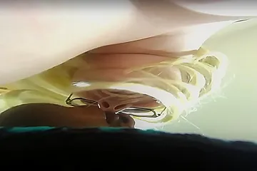 Giantess Cuckold Sex - Jane Judge - porn video